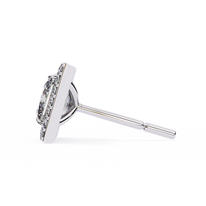 Priselle Solitaire Studs