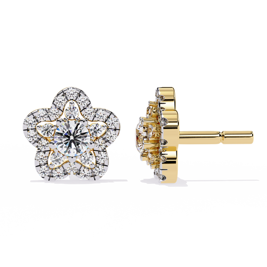 Stellar Radiance Studs