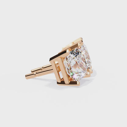 Timeless Edge Studs